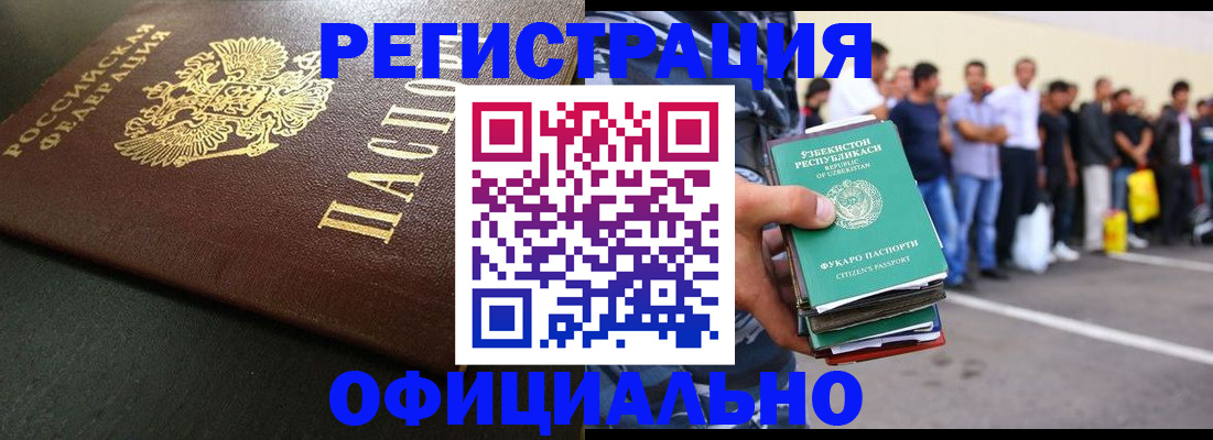 прописка 2025 в Могочи